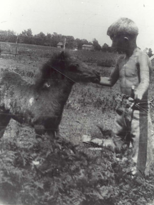 Jimmy-Feeding-His-Colt