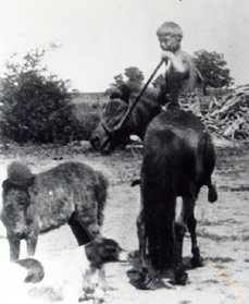 PJC riding horse LADY colt LADY LEE dog SAM 1934 SHRUNK